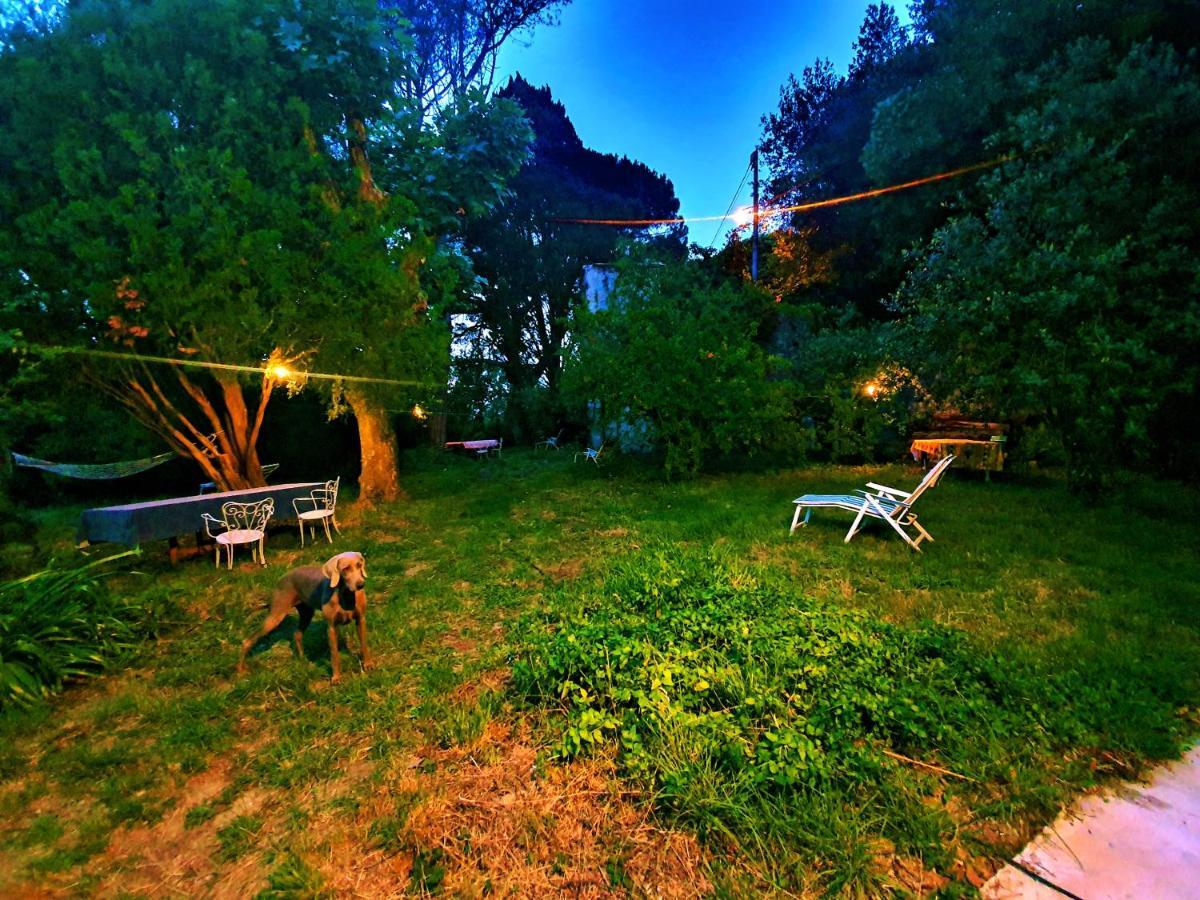 Villa De Benedetti ซาร์ซานา ภายนอก รูปภาพ