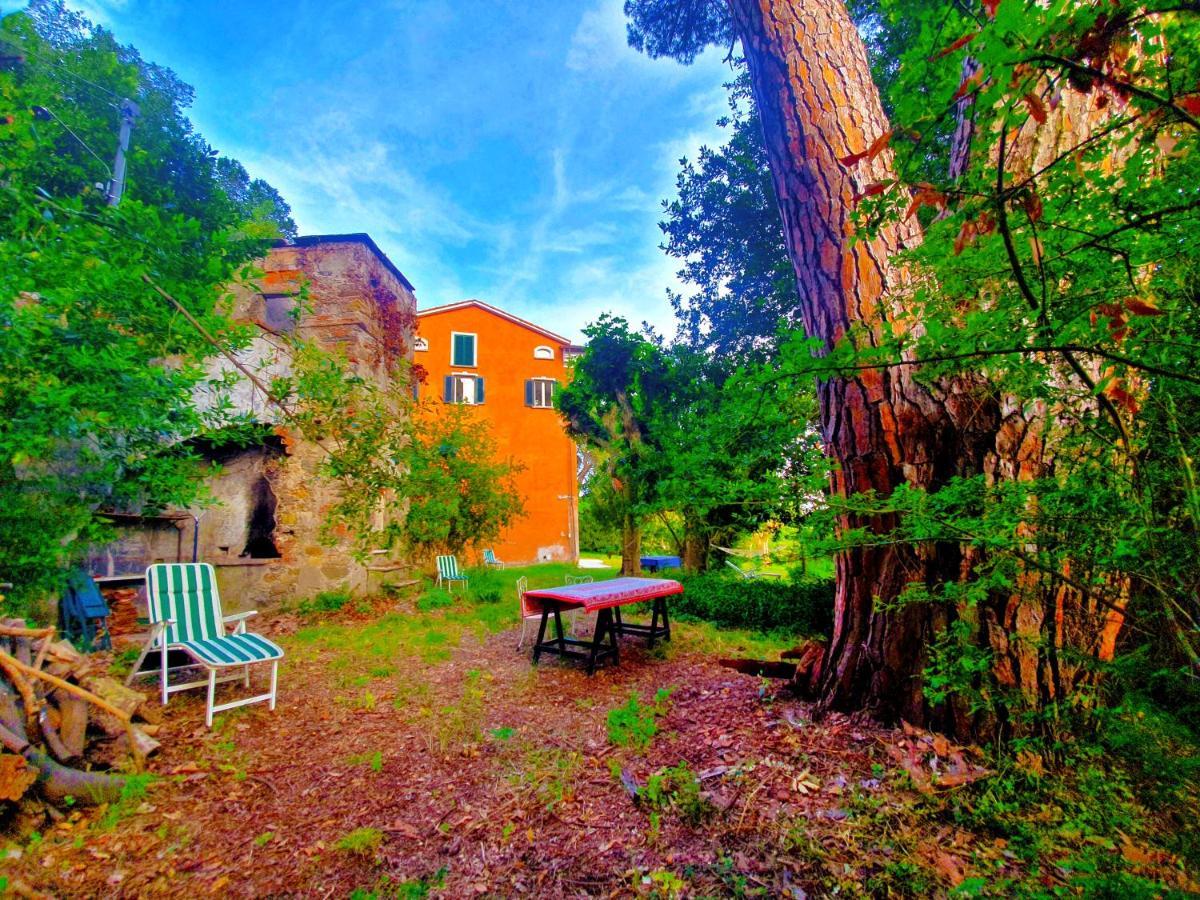 Villa De Benedetti ซาร์ซานา ภายนอก รูปภาพ