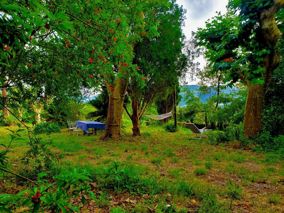 Villa De Benedetti ซาร์ซานา ภายนอก รูปภาพ